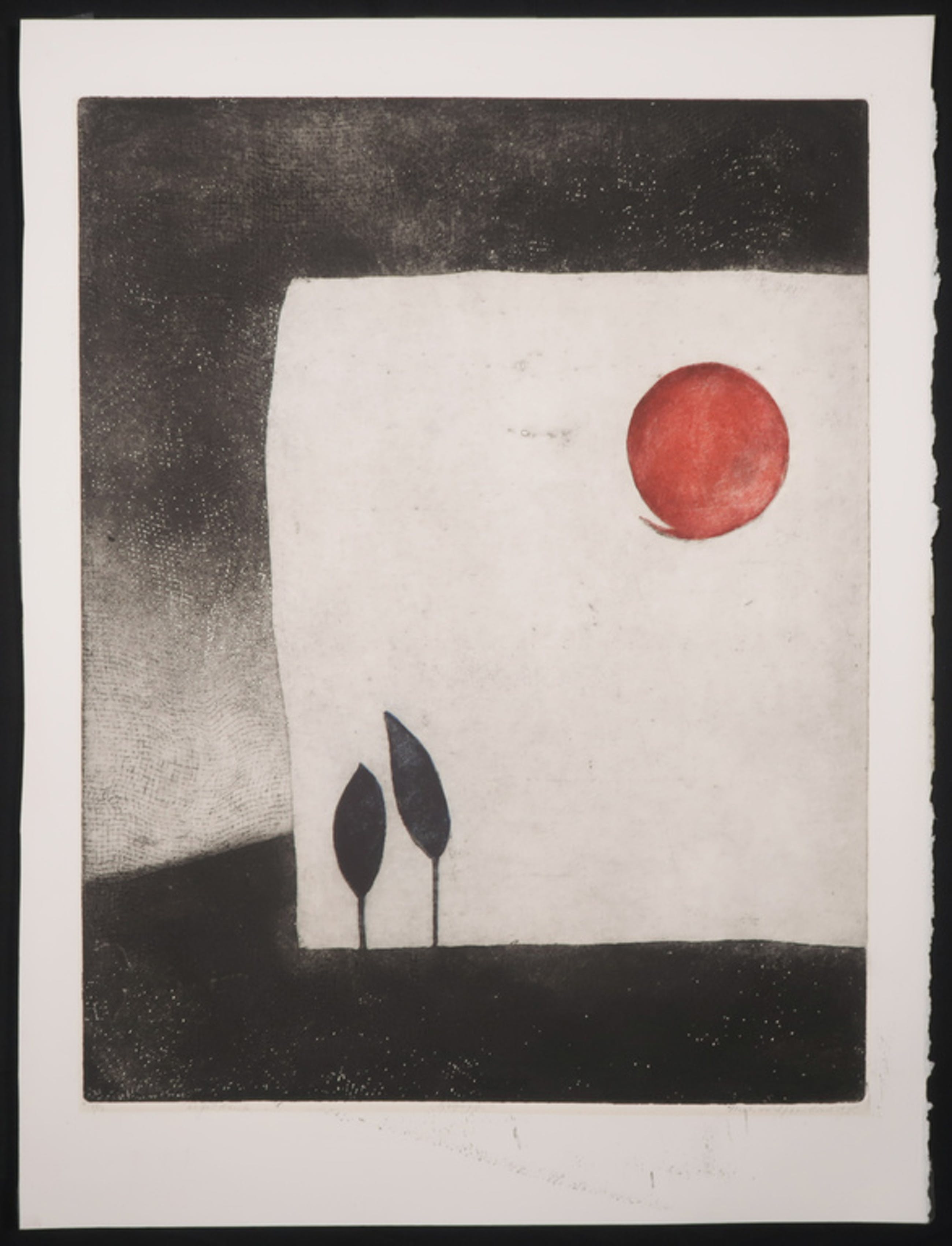 Niels van Spaendonck - Boompjes (1978)